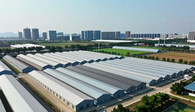 流程优化驱动技术外包业务发展新路径